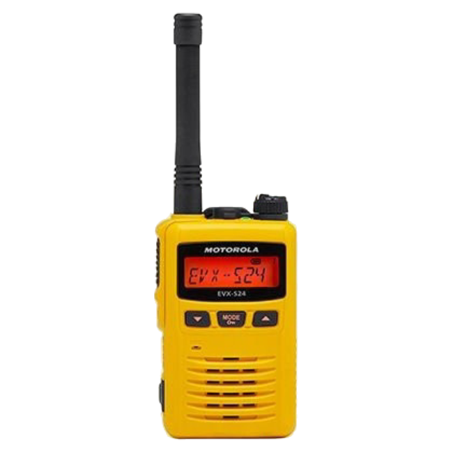EVX S24-YELOW